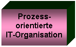 Textfeld: Prozess-
orientierte
IT-Organisation
