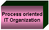 Textfeld: Process oriented IT Organization
