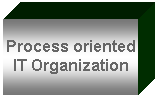 Textfeld: Process oriented IT Organization
