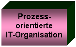 Textfeld: Prozess-

orientierte

IT-Organisation
