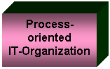 Textfeld: Process-

oriented

IT-Organization
